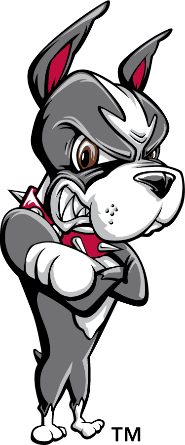 Boston University Terriers 1996-2005 Secondary Logo diy iron on heat transfer